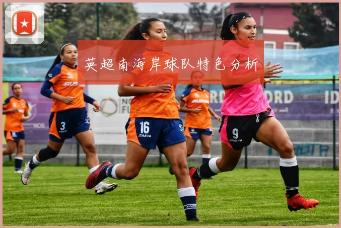 英超南海岸球队特色分析