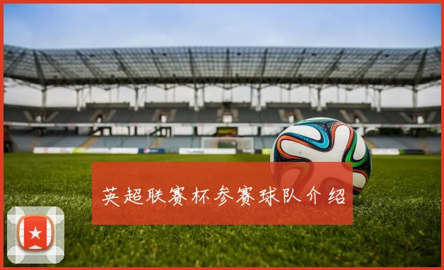 英超联赛杯参赛球队介绍
